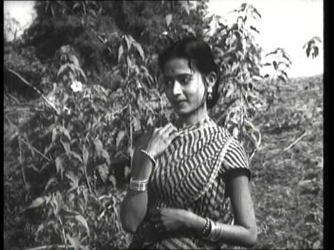 video image