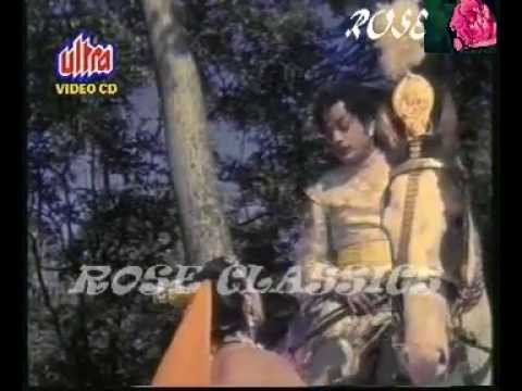 video image