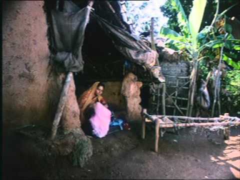 video image