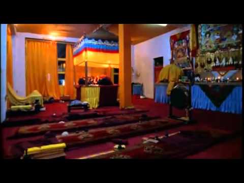 video image