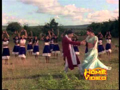 video image
