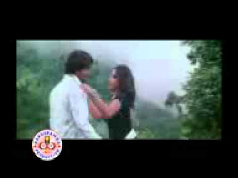 video image