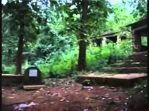 video image