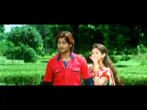 video image