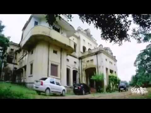 video image