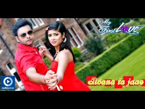 video image