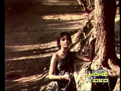 video image