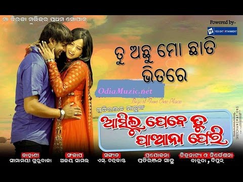 video image