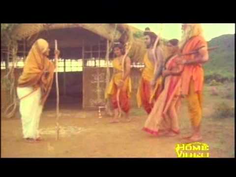 video image