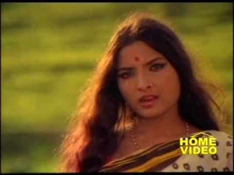 video image