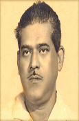 Nitai Palit